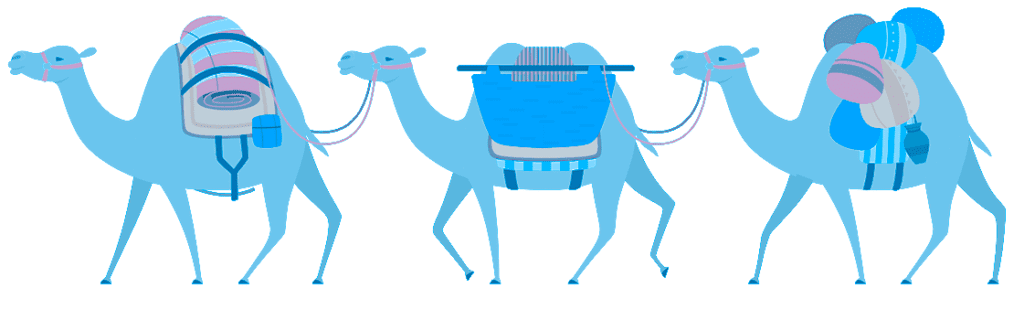Camel Caravan 1
