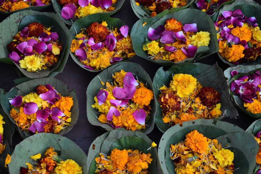Offerings on the Ganga - Tour to Spiritual North India