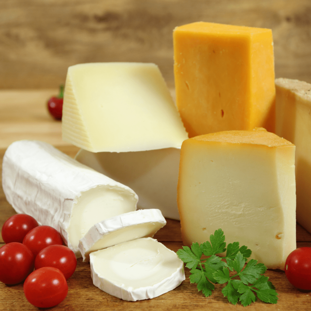 Amman Cheese Tasting - Amma City Stay