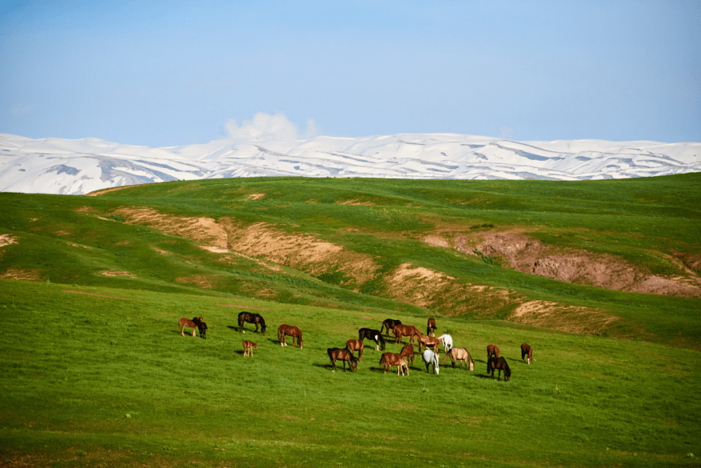 Landscape of SAIRAM-UGAM, Kazakhstan tour