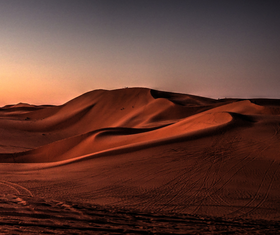 Sahara near Timimoun