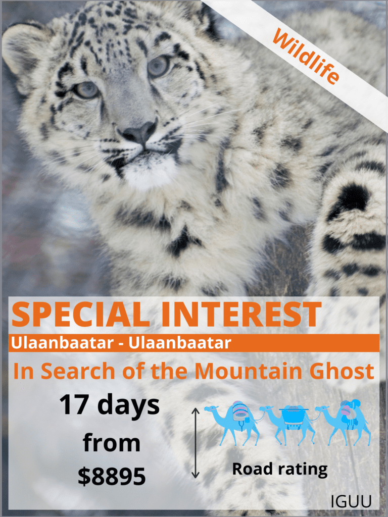 Snow Leopard Safari And Golden Eagle FEstival